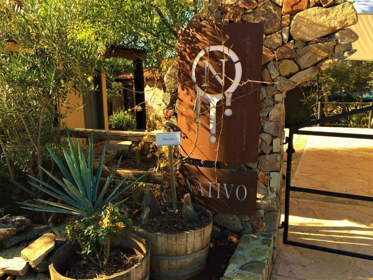 Suites Nativo - Beautiful Vineyard&Valley View Valle de Guadalupe Extérieur photo